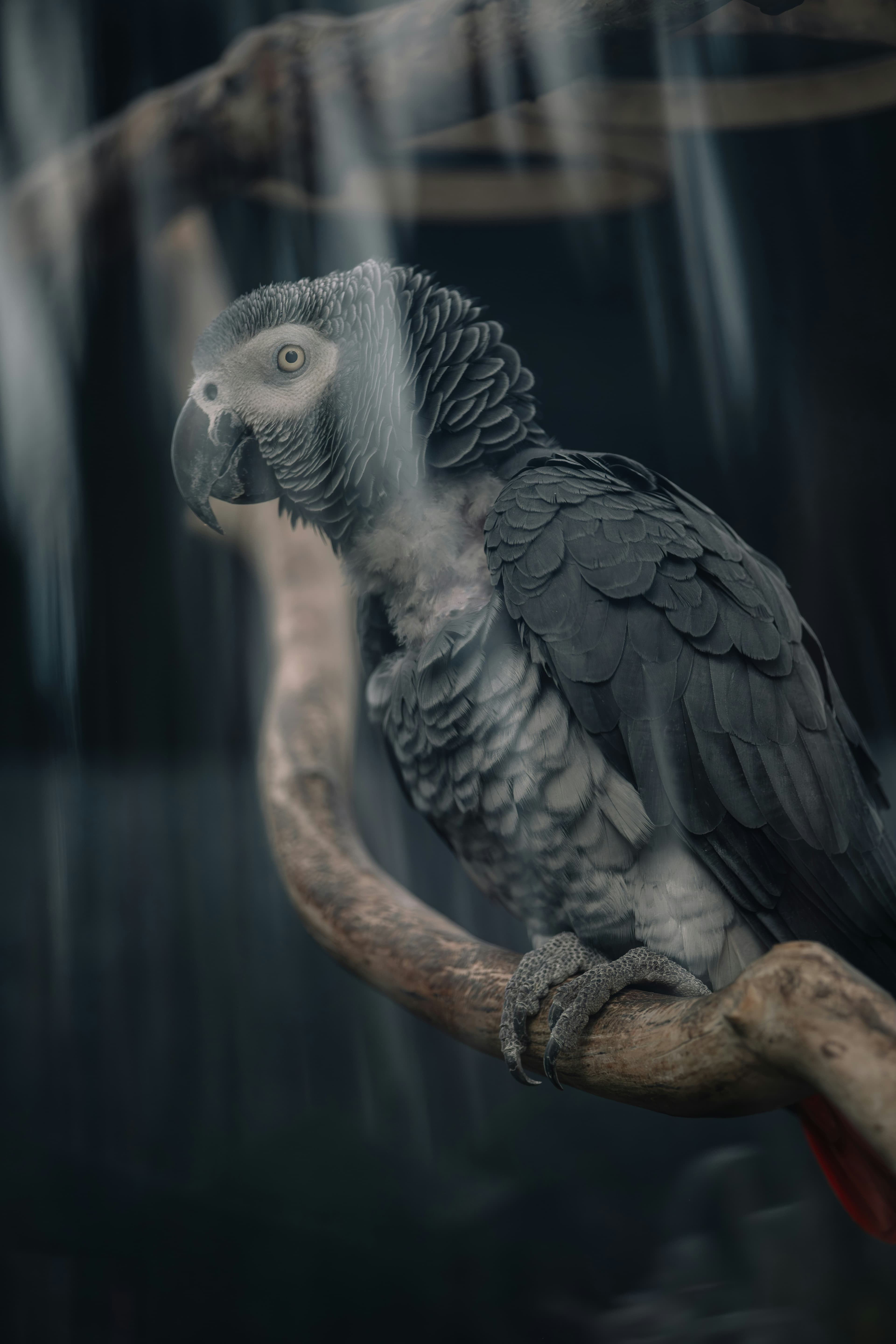 如何设计令人难忘的用户体验